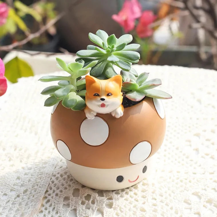 Kawaii Mushroom Succulents Plant Pots